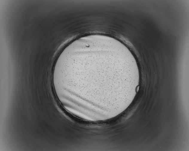 X0000083560625200703021719