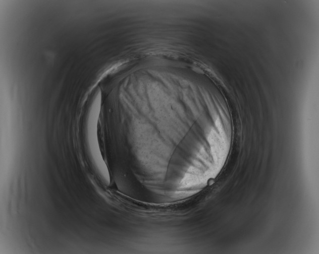 X0000083560626200703021719