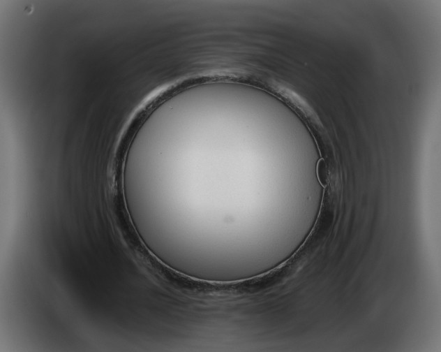 X0000083560628200703021719