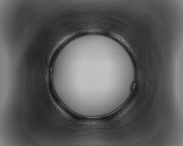 X0000083560629200703021719