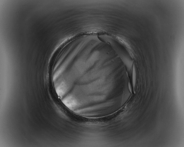 X0000083560630200703021719