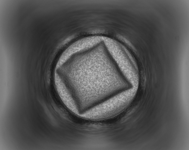 X0000083560631200703021719