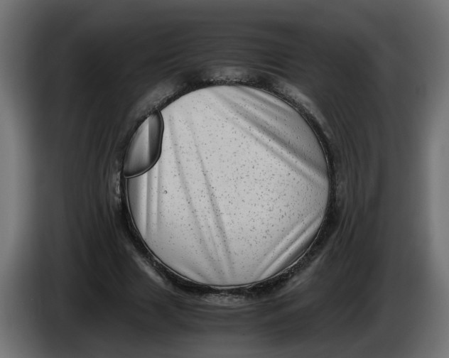 X0000083560633200703021719