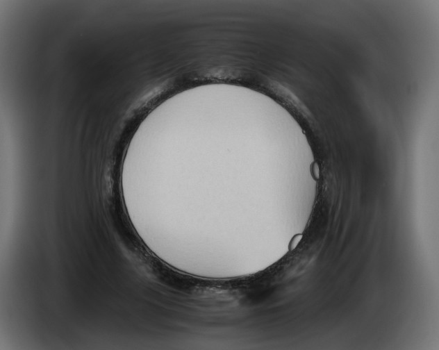 X0000083560635200703021719