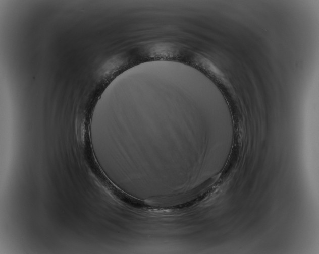 X0000083560637200703021719