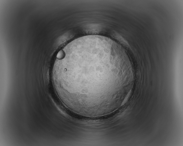 X0000083560638200703021719