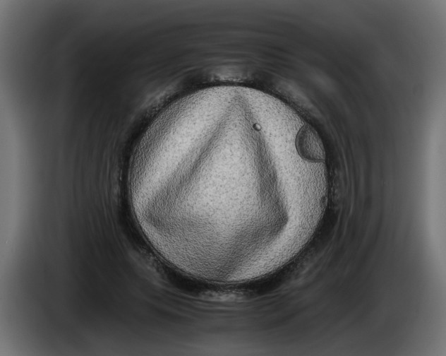 X0000083560639200703021719