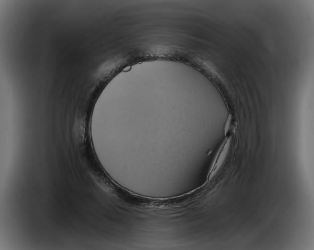 X0000083560640200703021719