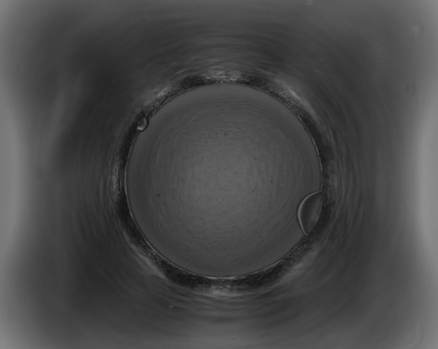 X0000083560641200703021719