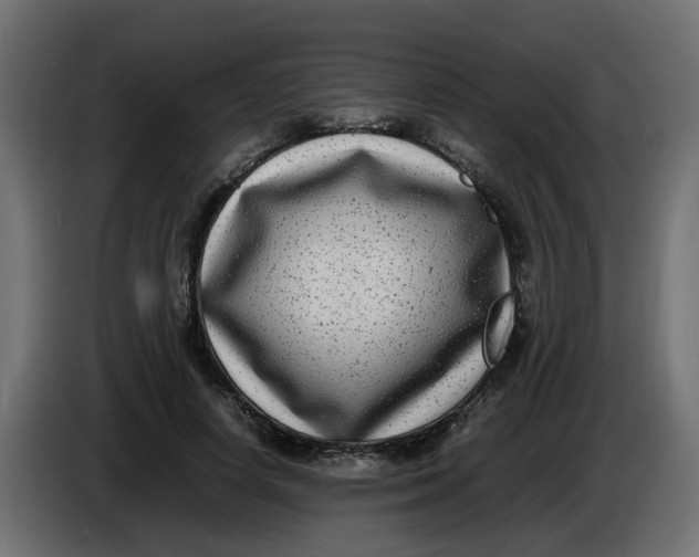 X0000083560642200703021719