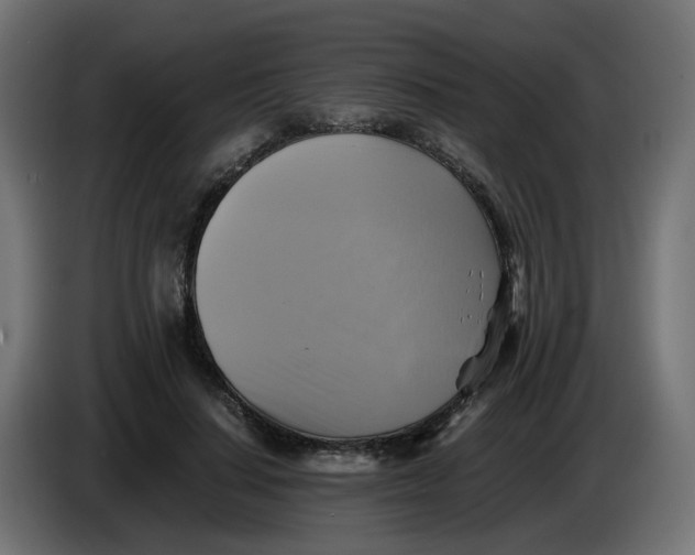 X0000083560644200703021719