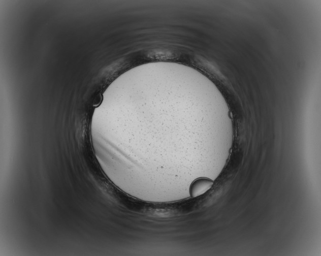 X0000083560645200703021719