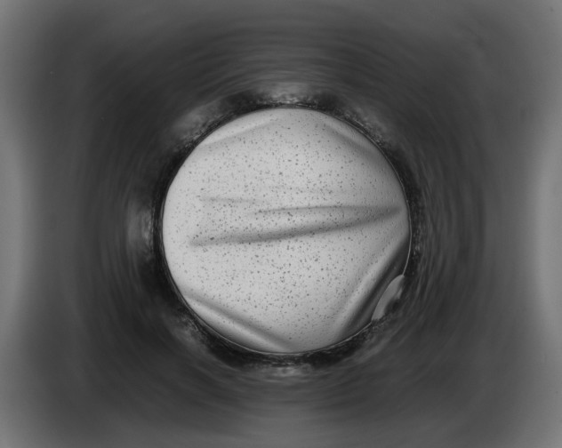 X0000083560646200703021719