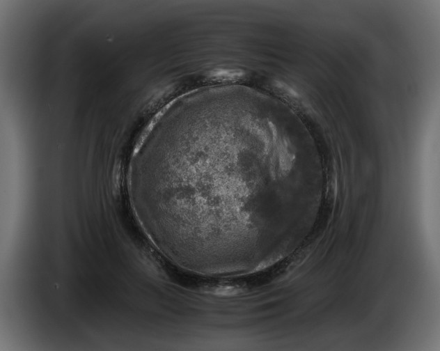 X0000083560647200703021719