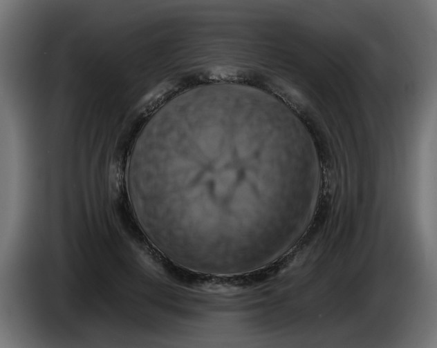 X0000083560648200703021719