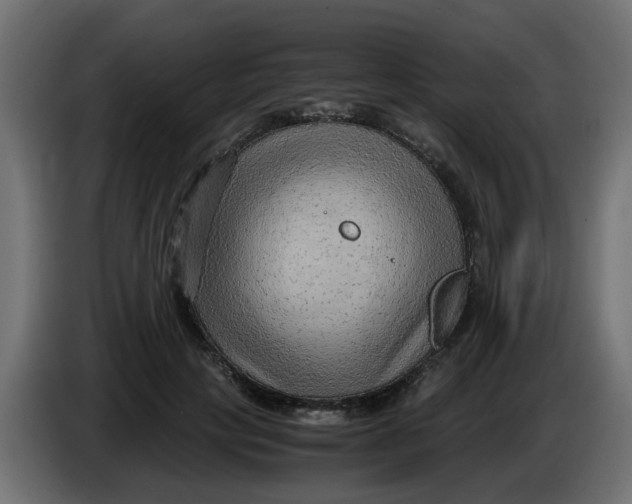 X0000083560649200703021719