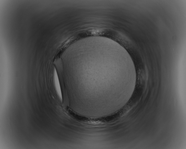 X0000083560650200703021720