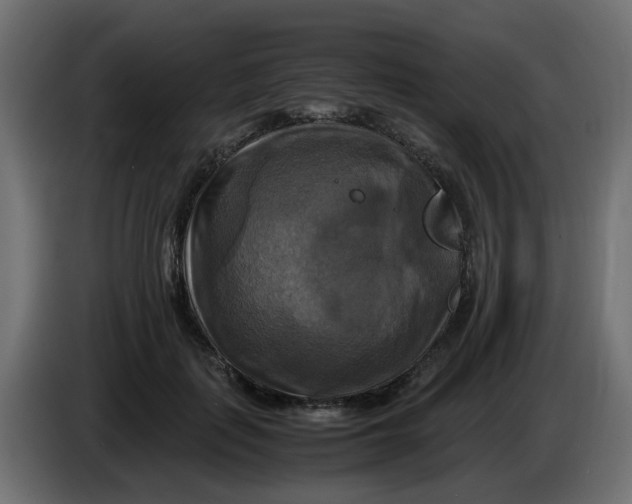 X0000083560651200703021720