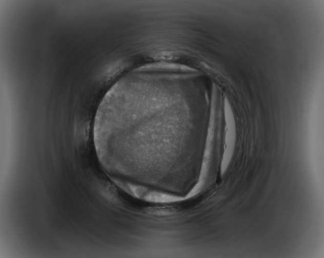 X0000083560652200703021720