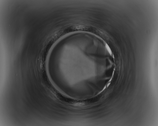 X0000083560653200703021720