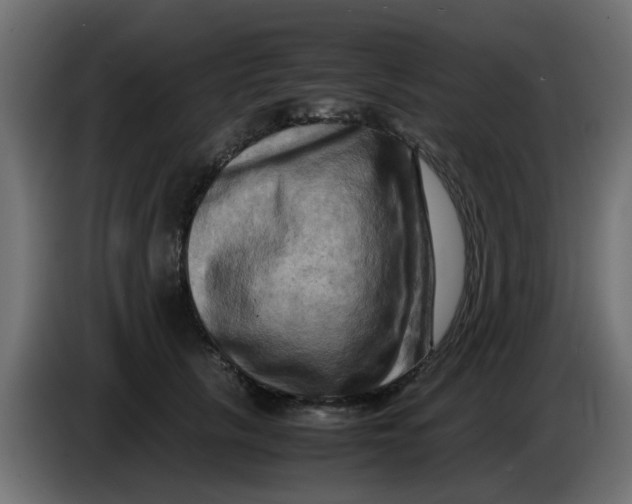 X0000083560657200703021720