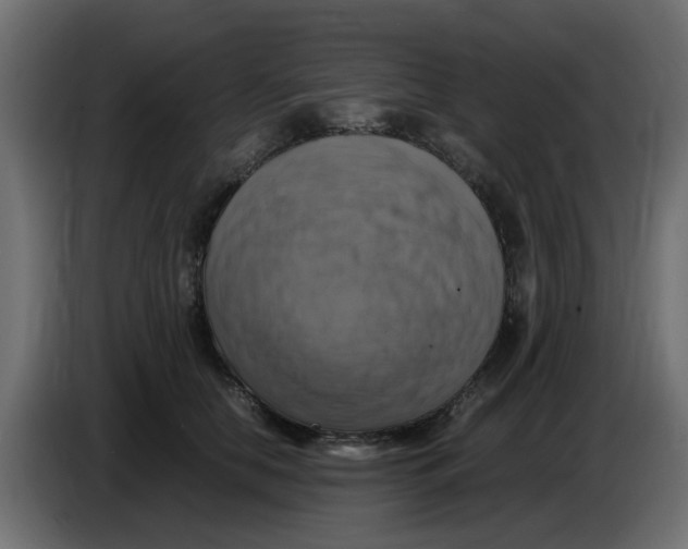 X0000083560658200703021720