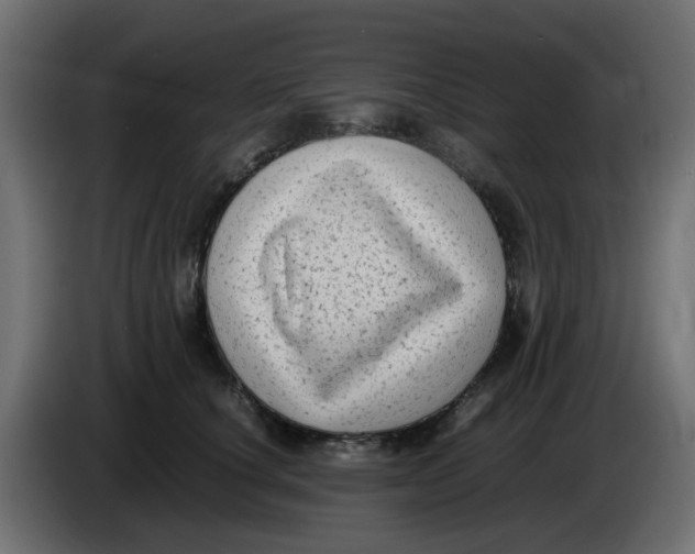 X0000083560660200703021720