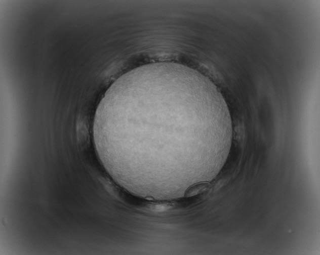 X0000083560662200703021720