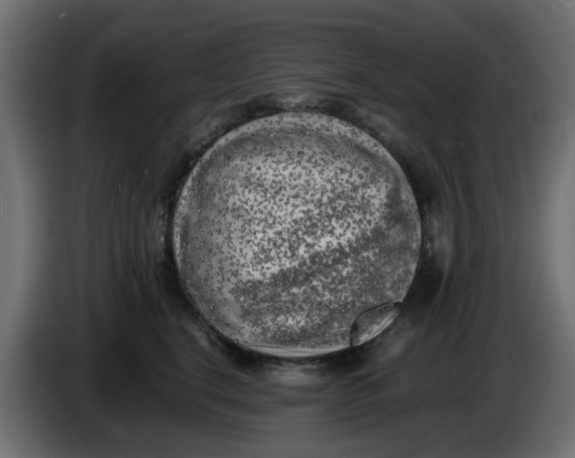 X0000083560664200703021720