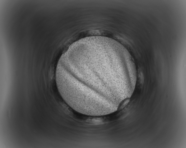 X0000083560665200703021720