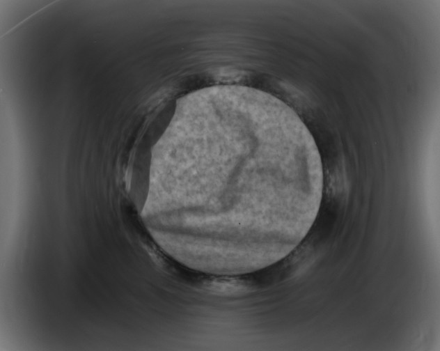 X0000083560666200703021720