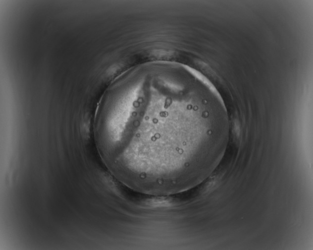 X0000083560668200703021720