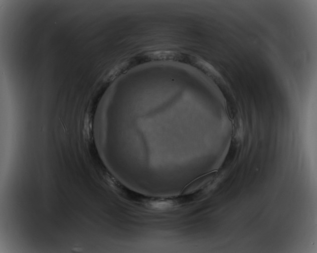 X0000083560669200703021720