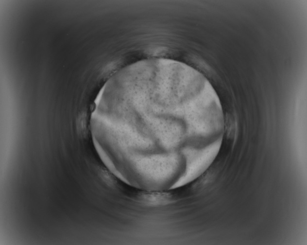 X0000083560670200703021720