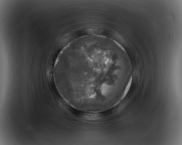 X0000083560671200703021720