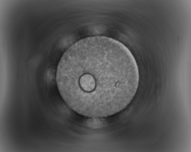 X0000083560672200703021720