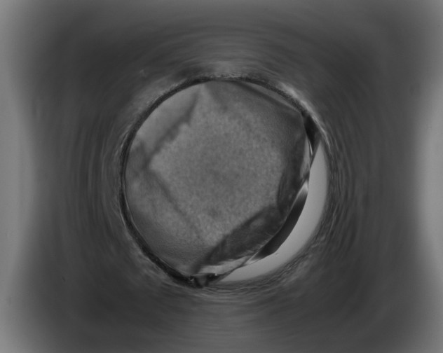 X0000083560673200703021719