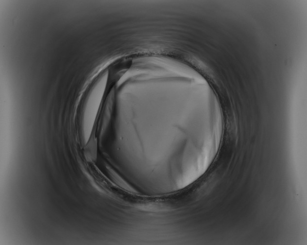 X0000083560674200703021719