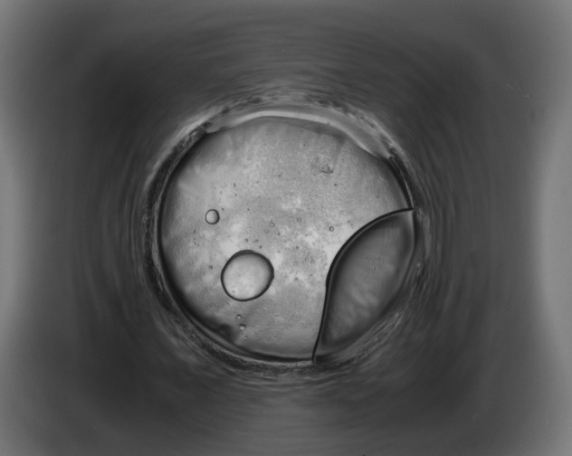 X0000083560675200703021719