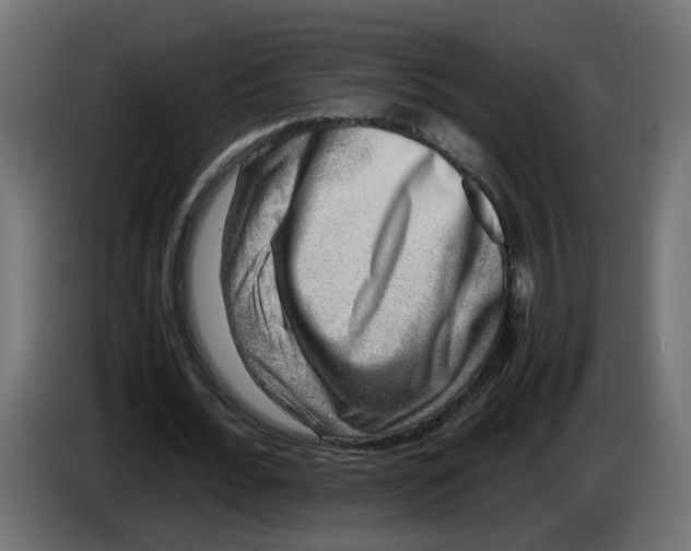 X0000083560676200703021719