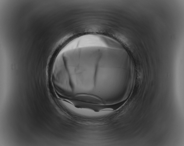 X0000083560678200703021719