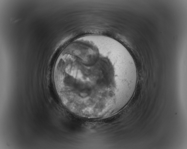 X0000083560679200703021719