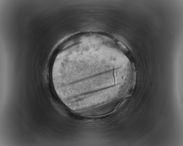 X0000083560680200703021719