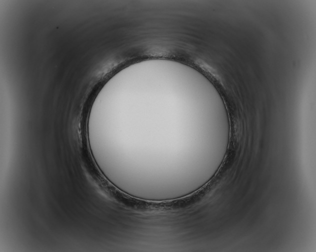 X0000083560682200703021719