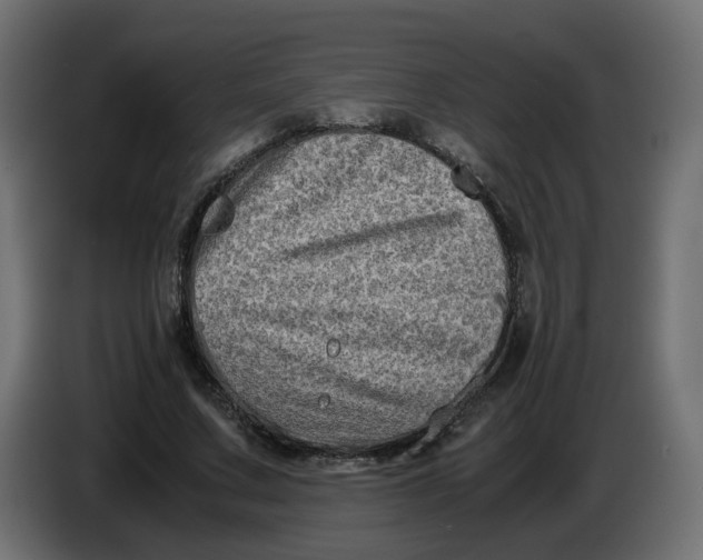 X0000083560683200703021719