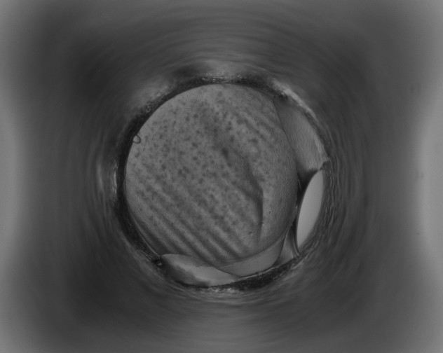 X0000083560685200703021719