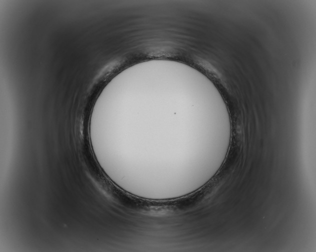 X0000083560686200703021719