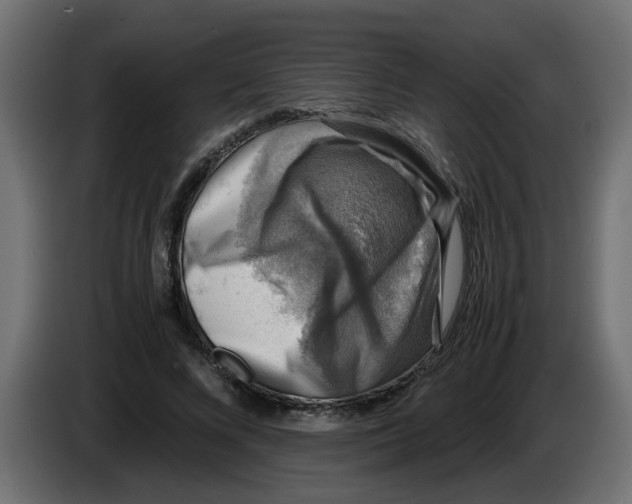 X0000083560688200703021719