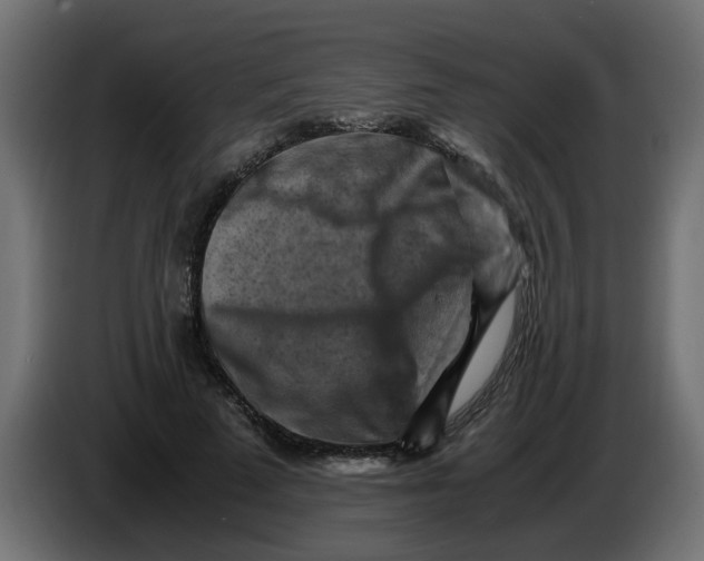 X0000083560689200703021719