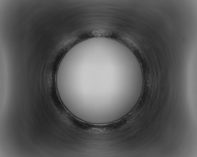 X0000083560690200703021719